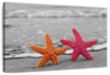 Nautical Starfish Duo Wall Art