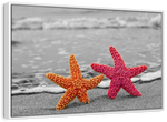 Nautical Starfish Duo Wall Art