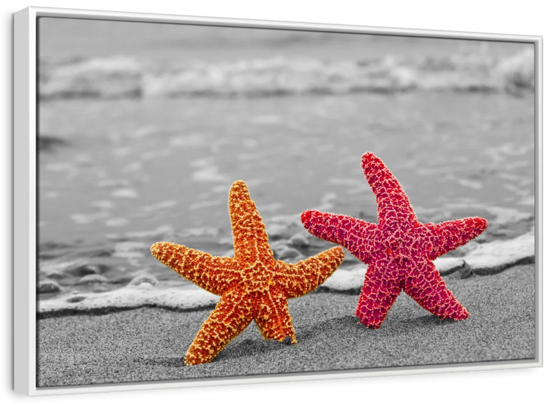 Nautical Starfish Duo Wall Art