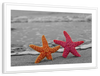 Nautical Starfish Duo Wall Art