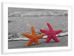 Nautical Starfish Duo Wall Art