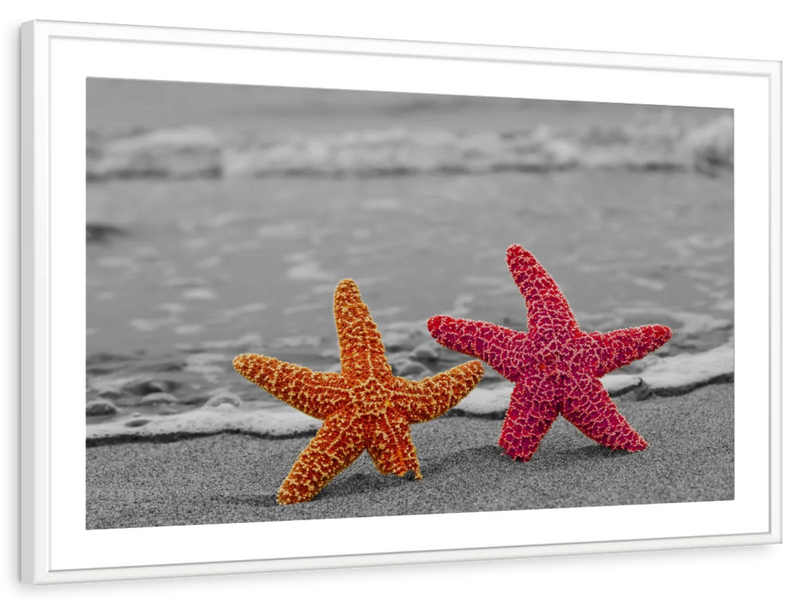 Nautical Starfish Duo Wall Art