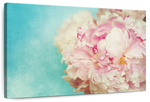 Lovely Peony Wall Art