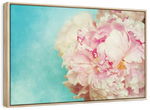 Lovely Peony Wall Art
