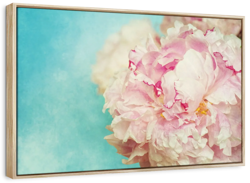 Lovely Peony Wall Art