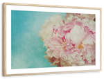 Lovely Peony Wall Art