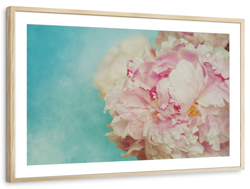 Lovely Peony Wall Art