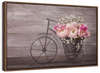 Ranunculus Bicycle Vase Wall Art