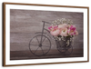 Ranunculus Bicycle Vase Wall Art