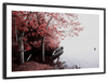 Pateira De Fermentelos Lake Wall Art