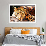 Leopard Gaze Wall Art