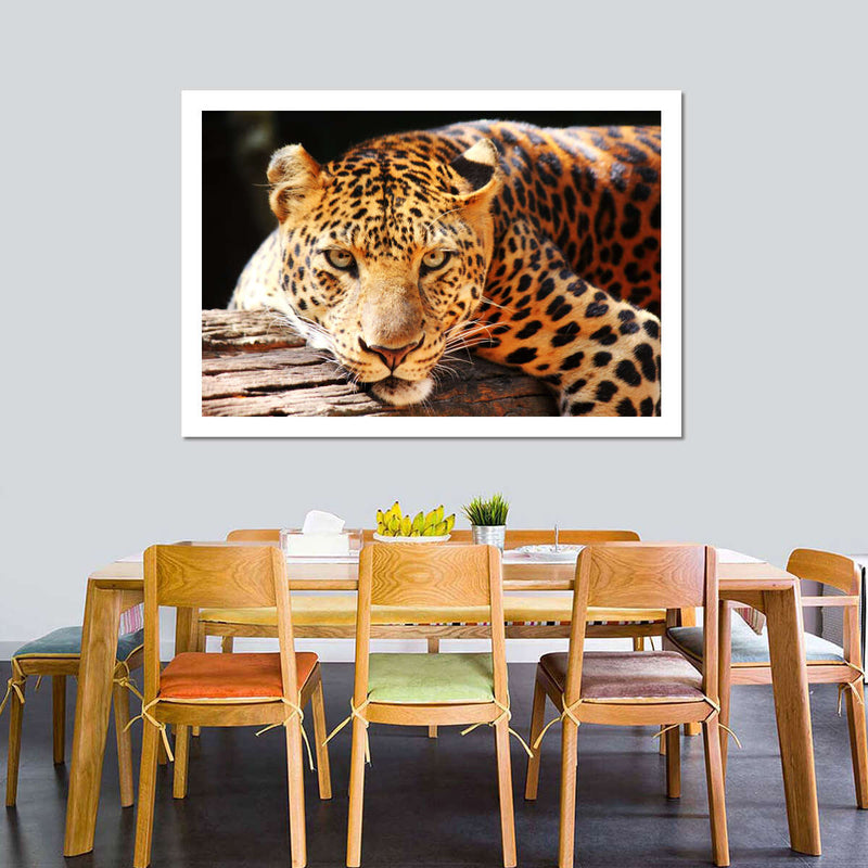 Leopard Gaze Wall Art