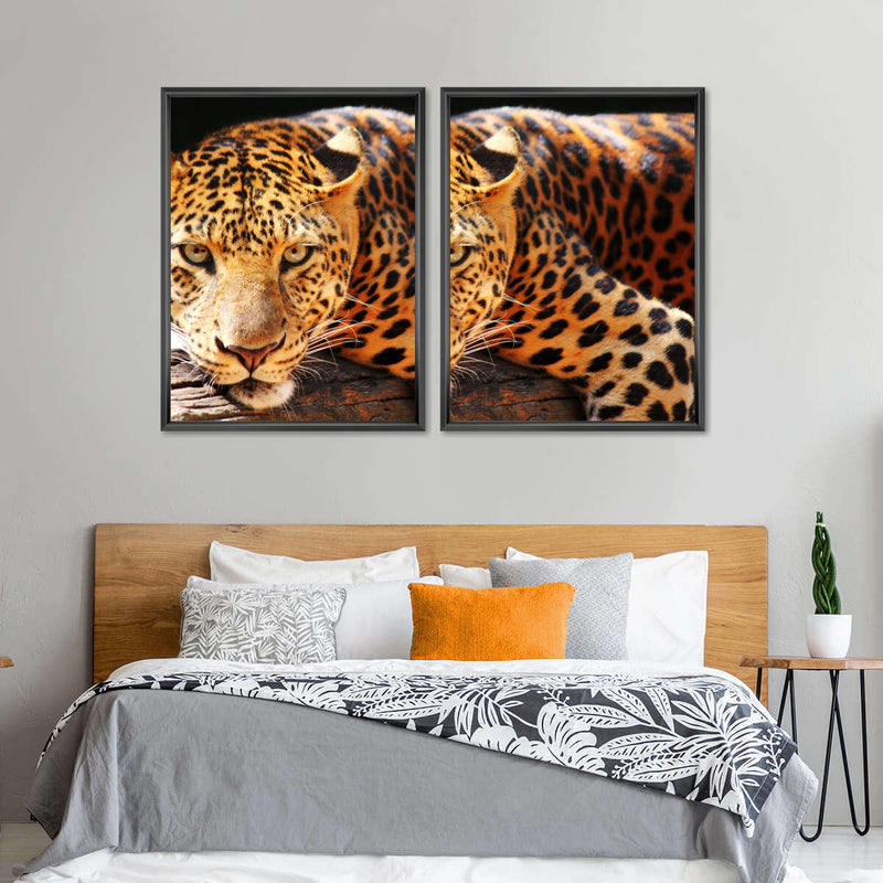 Leopard Gaze Wall Art