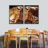 Leopard Gaze Wall Art