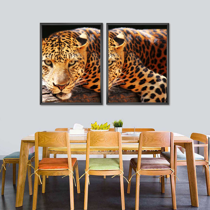 Leopard Gaze Wall Art
