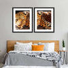 Leopard Gaze Wall Art
