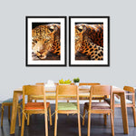 Leopard Gaze Wall Art
