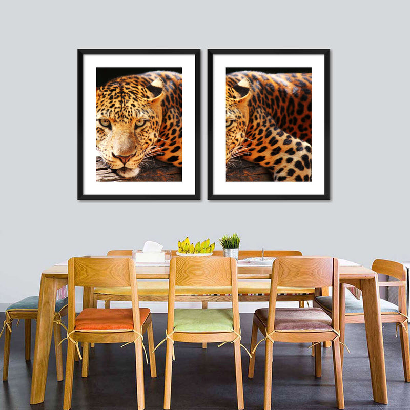 Leopard Gaze Wall Art