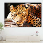 Leopard Gaze Wall Art