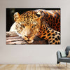 Leopard Gaze Wall Art