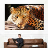 Leopard Gaze Wall Art