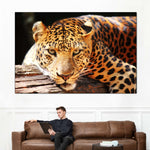 Leopard Gaze Wall Art
