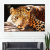 Leopard Gaze Wall Art