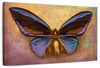 Purple Butterfly Wall Art