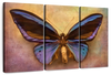 Purple Butterfly Wall Art