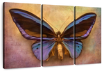 Purple Butterfly Wall Art