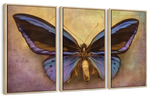Purple Butterfly Wall Art