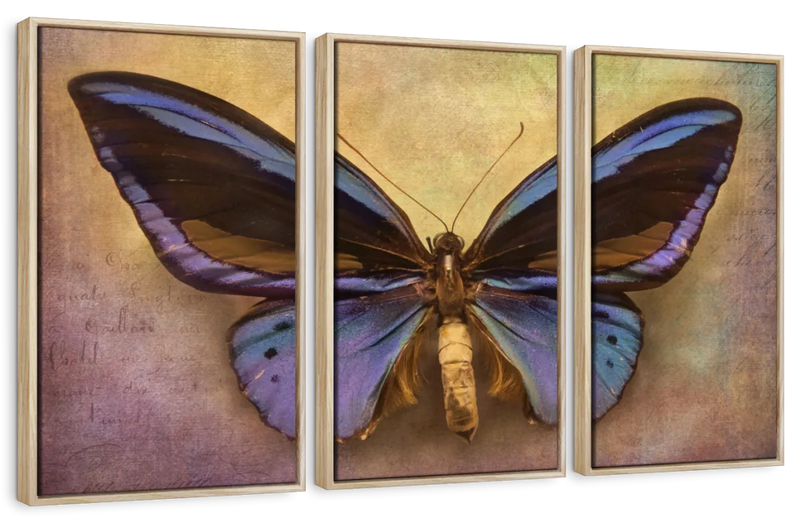 Purple Butterfly Wall Art