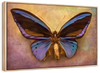 Purple Butterfly Wall Art