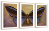 Purple Butterfly Wall Art