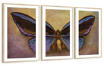 Purple Butterfly Wall Art