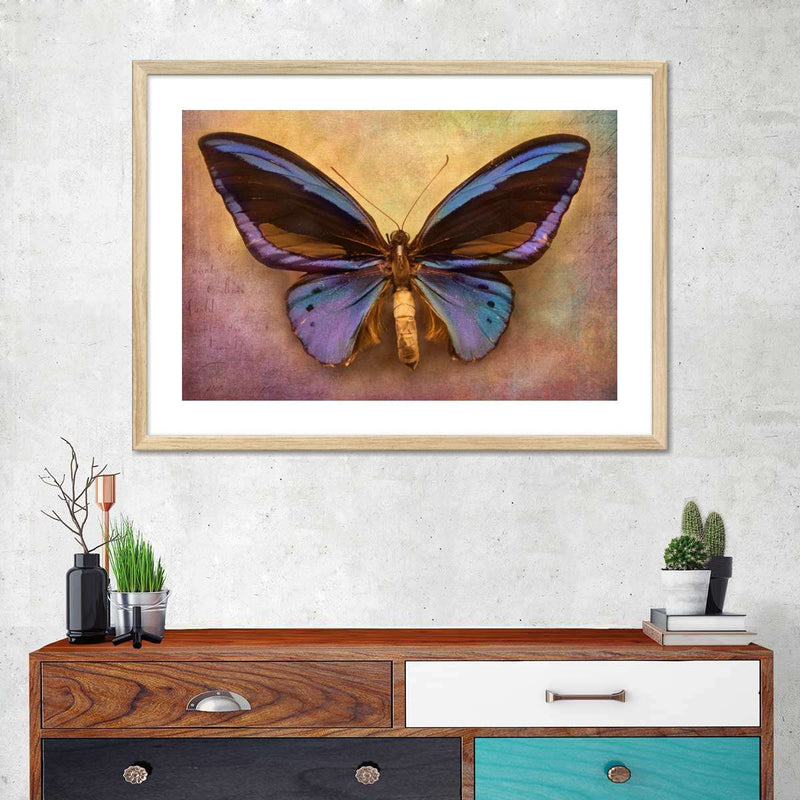 Purple Butterfly Wall Art
