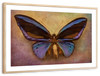 Purple Butterfly Wall Art