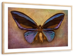 Purple Butterfly Wall Art