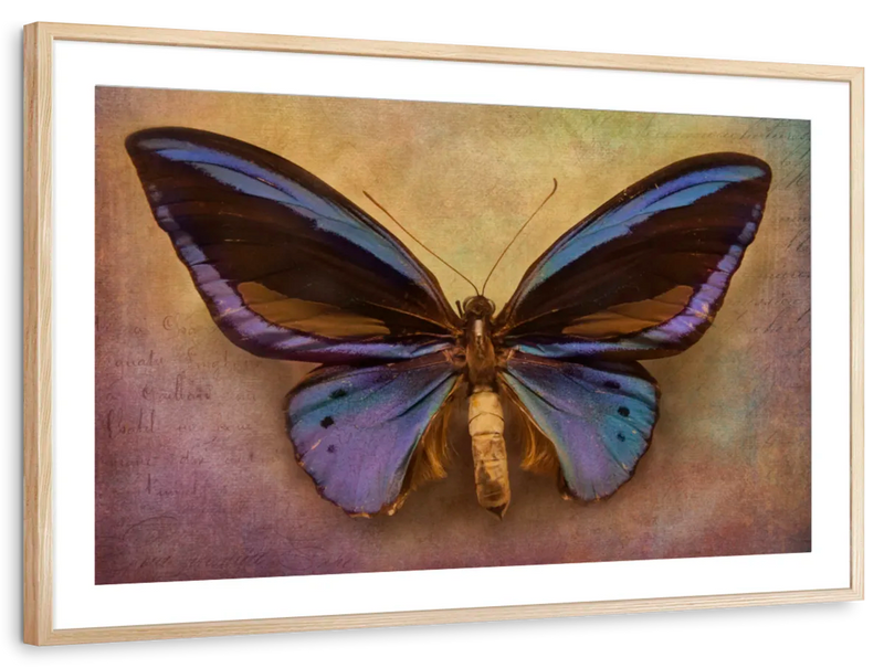 Purple Butterfly Wall Art