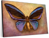 Purple Butterfly Wall Art