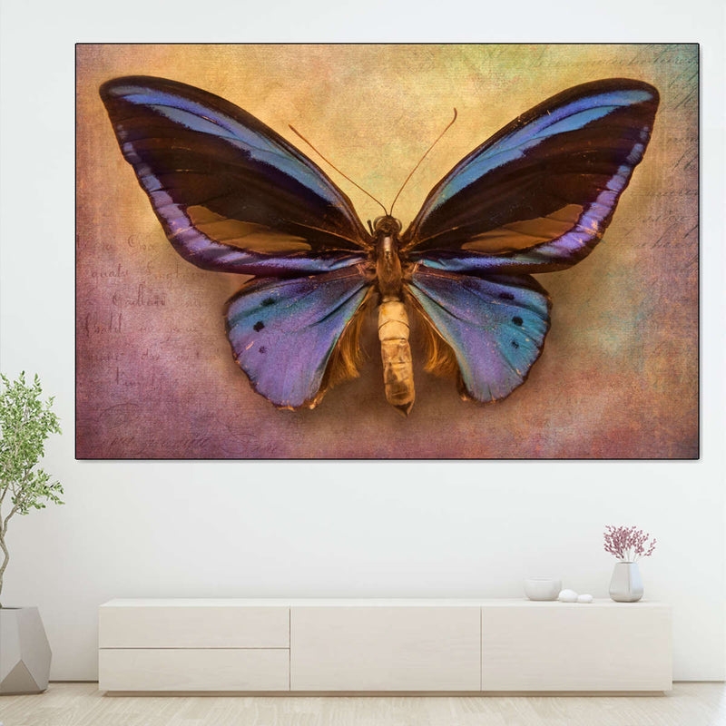 Purple Butterfly Wall Art