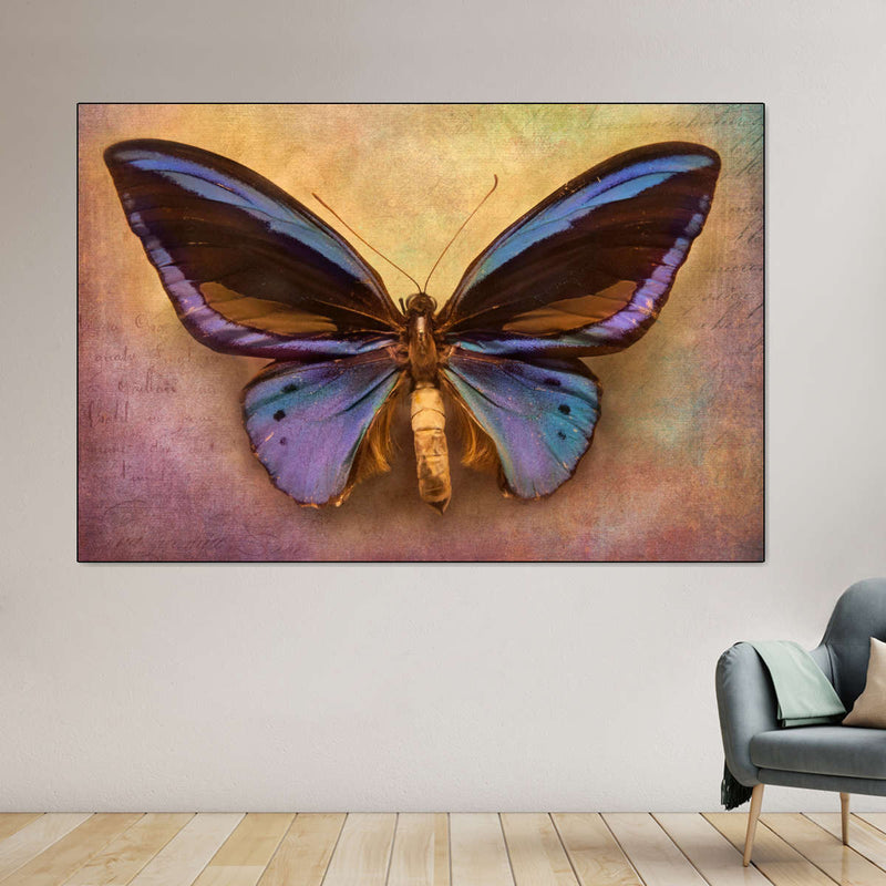 Purple Butterfly Wall Art