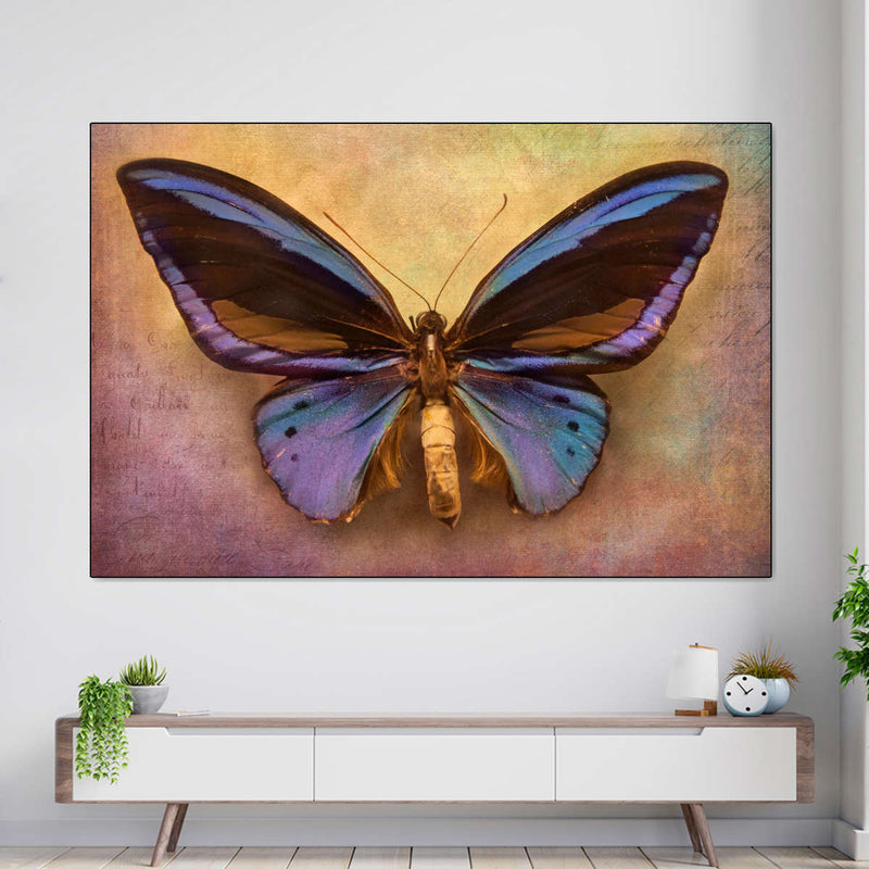 Purple Butterfly Wall Art