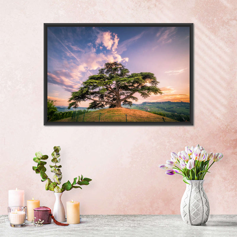Majestic Cedar Of Lebanon Wall Art