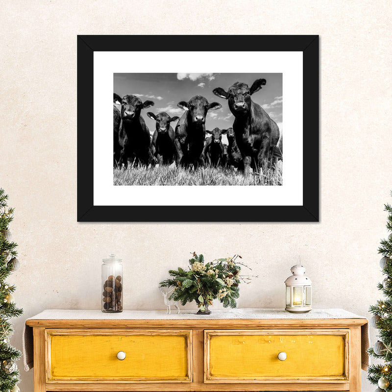 Monochrome Angus Cows Wall Art