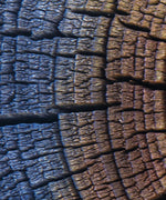 Tree Trunk Pattern Wall Art