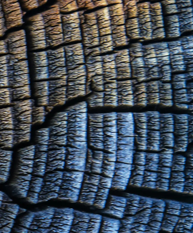 Tree Trunk Pattern Wall Art