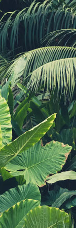 Tropical Jungle Wall Art
