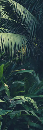 Tropical Jungle Wall Art