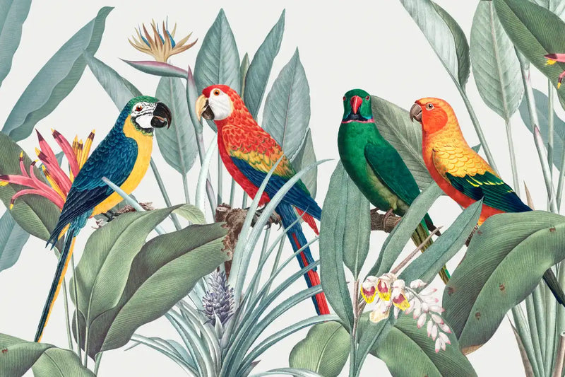 Tropical Safari Parrots Wall Art